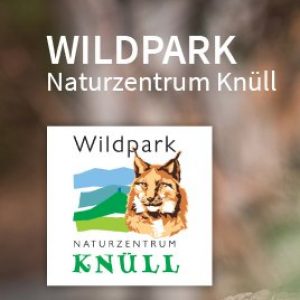 wildpark-naturzentrum-knuell_logo